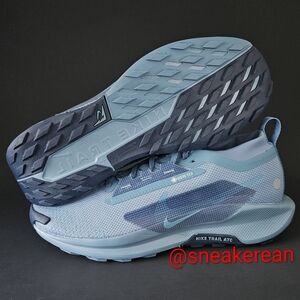 Nike Pegasus Trail 5 GORETEX, Brand New Without Tag, Smokey Blue Light Silver CW